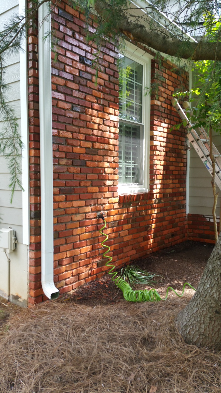 Residential Hallway & Trim